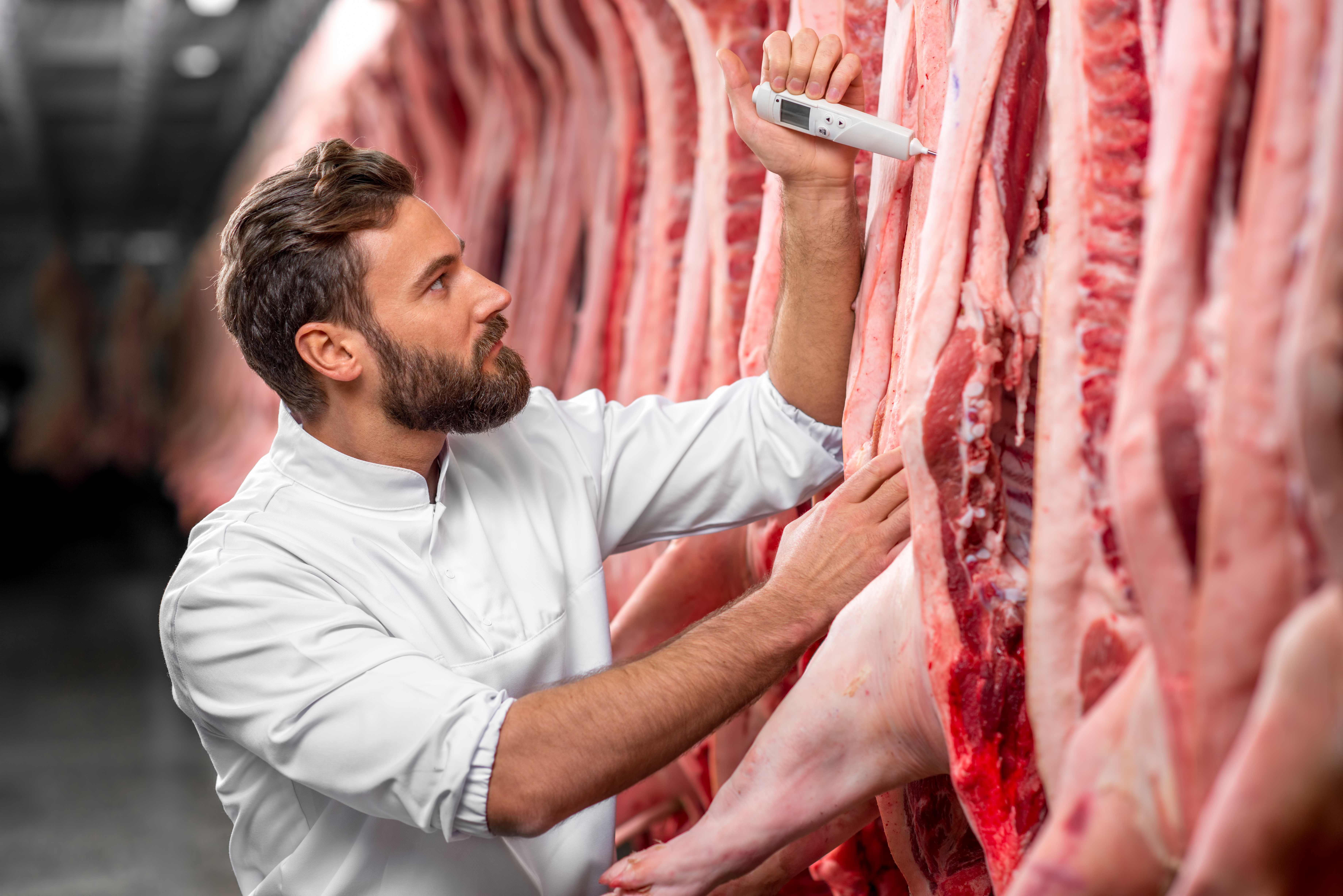 butcher using a thermometer to check the temperature of raw meat