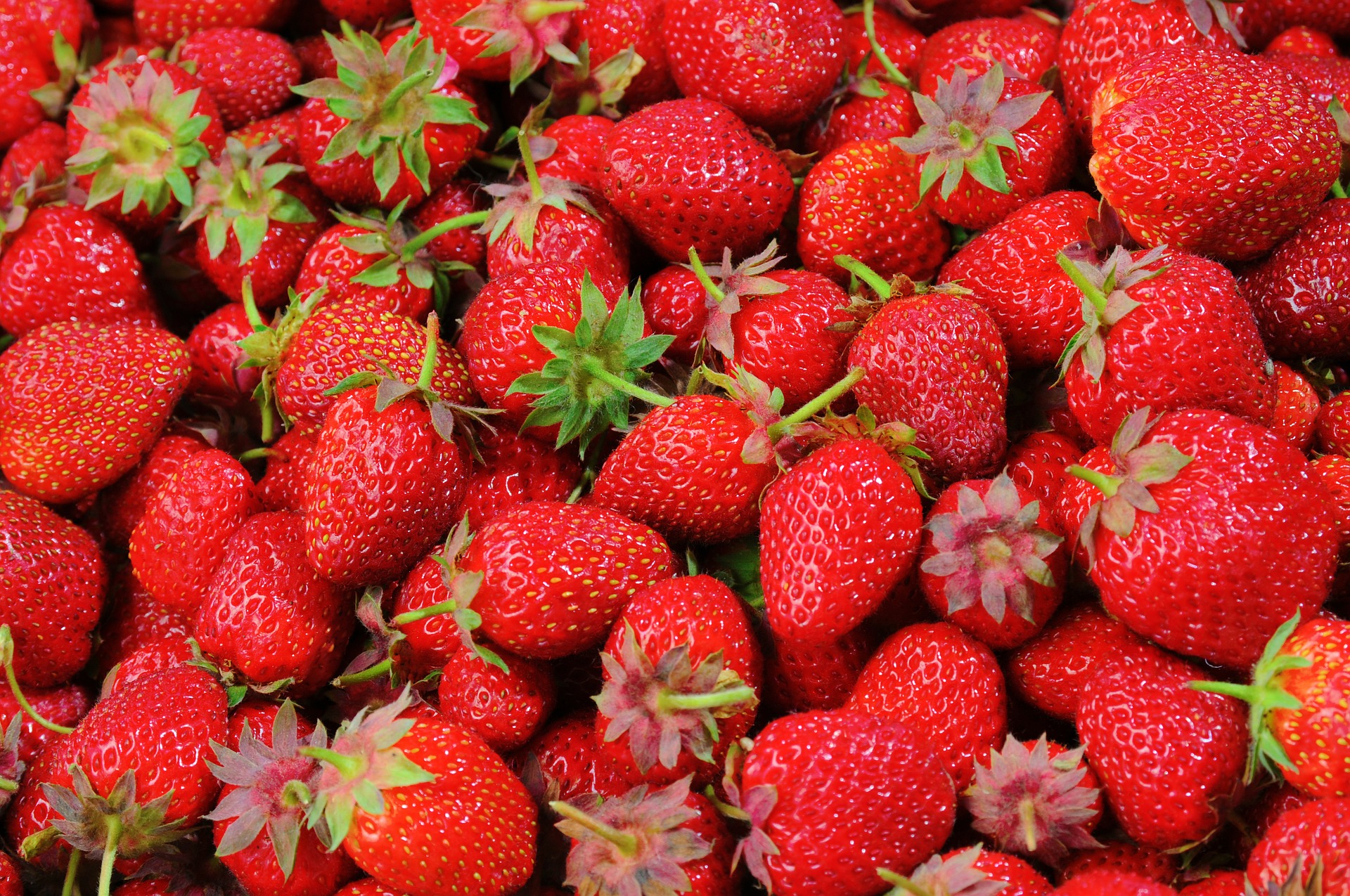 fresh strawberries