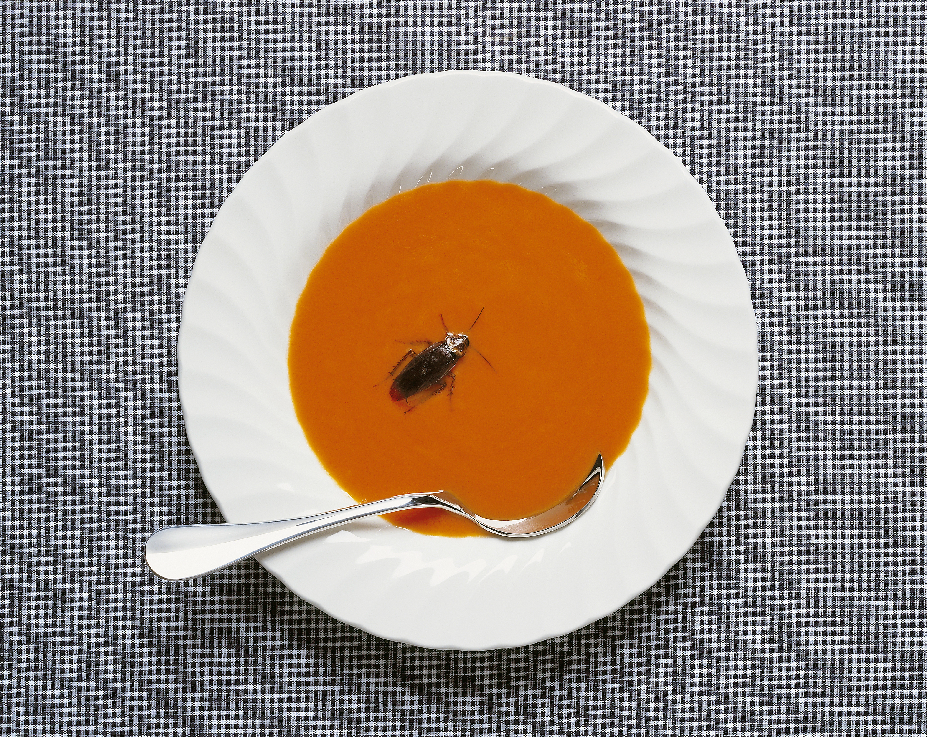 cockroach floating in tomato soup