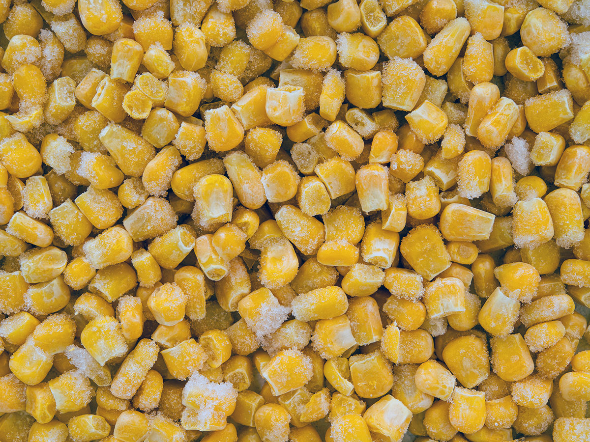 Salmonella Outbreak Linked to Frozen Corn, Not Fresh Avocados