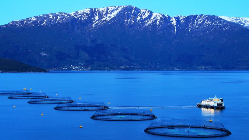 Coast of Vancouver