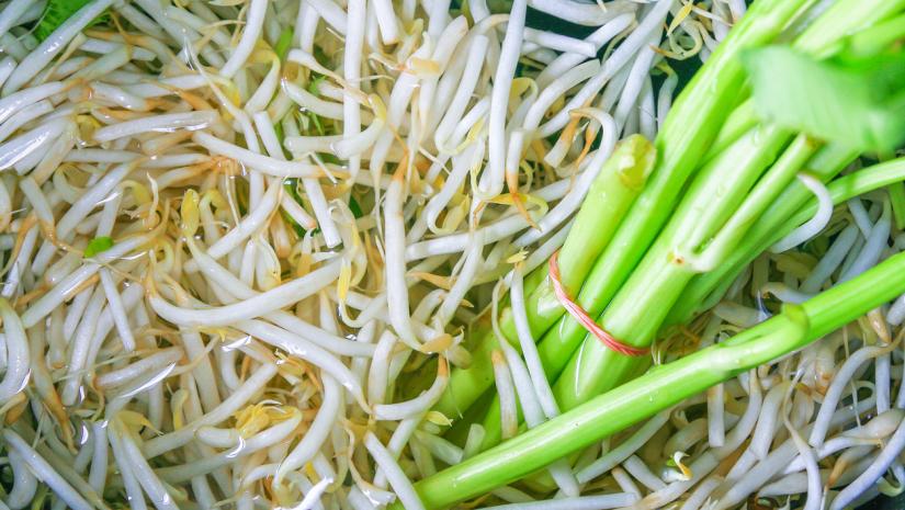 Pea sprouts