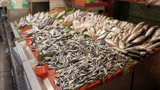 fish on display in market