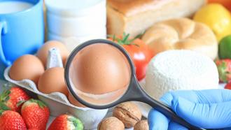 Food researcher investigating food for signs of chemical contamination