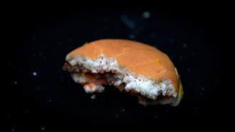 Half eaten hamburger