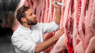 butcher using a thermometer to check the temperature of raw meat
