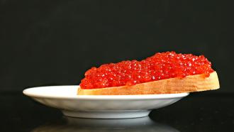 red salmon caviar on a piece of toast