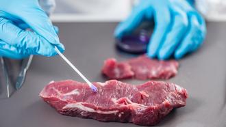 Salmonella outbreak of unknown origin