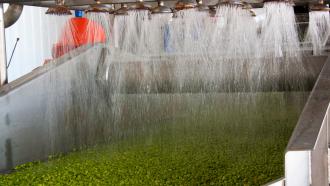 cold plasma wash water treatment