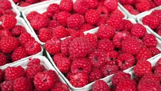 Norovirus outbreak from raspberries