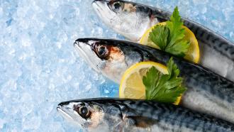 Scombroid poisoning from mackerel and tuna.