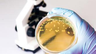 E. coli-caused hemolytic uremic syndrome (HUS)