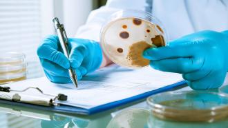 Listeria mapping tool for food recalls