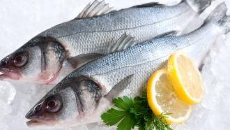 High mercury levels in fish