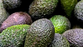 Salmonella outbreak could be linked to avocados