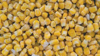 Salmonella outbreak linked to frozen corn