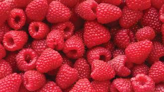 Gelato Recalled Due to Possible Norovirus in Raspberries Used