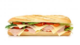 Sub style sandwich