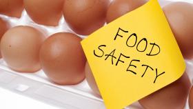 cartoon of eggs with a post-it that reads food safety