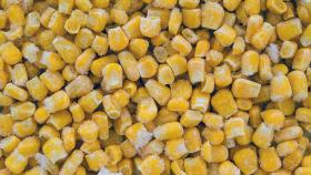 Salmonella outbreak linked to frozen corn